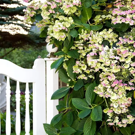 Jutta Boenisch * List